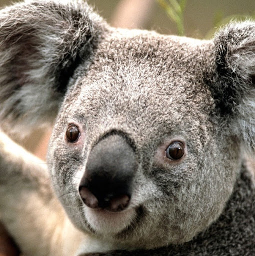 Elizabeth Blackburn Photo 10