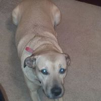 Debbie Poole Photo 39