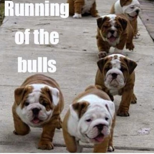 Marci Smith Photo 22