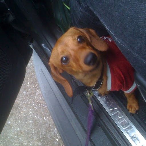 Erica Braxton Photo 1