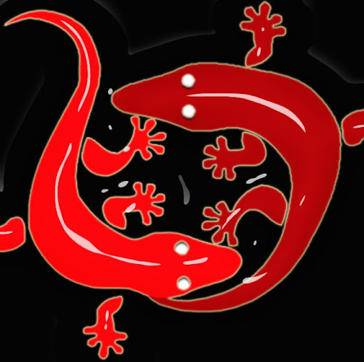 Randy Rhoads Photo 33 Randy Rhoads Photo 33