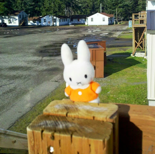 James Cummings Photo 15