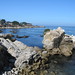 Kathy Grove Photo 33
