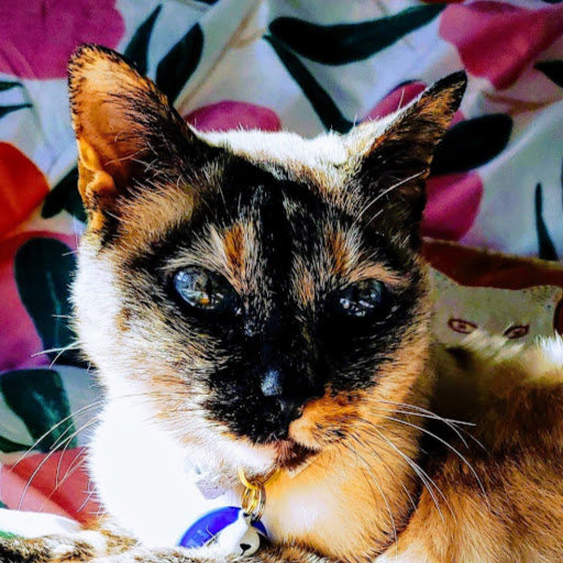 Gayle Scott Photo 15