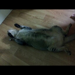 Sandy Cheung Photo 25