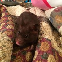 Pamela Keffer Photo 9