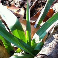 Michelle Shuler Photo 22