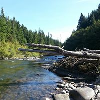 Jeremy Rowley Photo 27