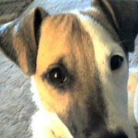 Connie Willis Photo 15
