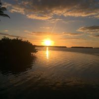 Jacqueline Moran Photo 34