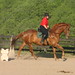 Laura Tinker Photo 21