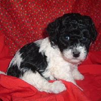 Robin Hayden Photo 36