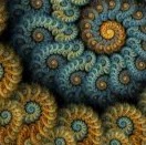 Matt Hardin Photo 16