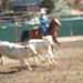Cindy Turner Photo 31