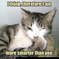 Marc Lehman Photo 13