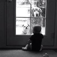 Penny Moody Photo 16