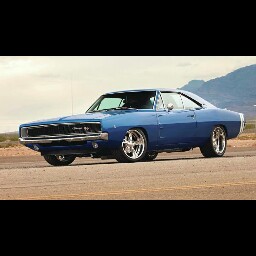 Adrian Merida Photo 7