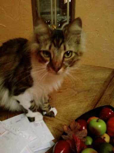 Mary Hoffmann Photo 32