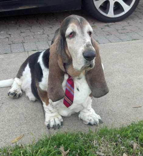 Bobby Walters Photo 14