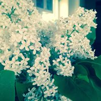 Emily Eberle Photo 9