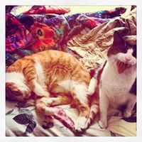 Stephanie Beatty Photo 21