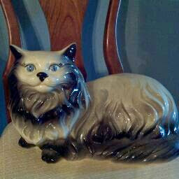 Pamela Collins Photo 12