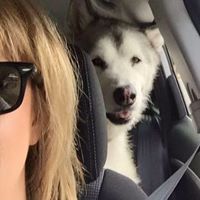 Traci Butcher Photo 4