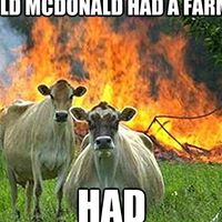 Jack Hatfield Photo 12