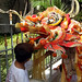 Min Tang Photo 11