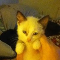 Marie Garrison Photo 33