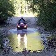 Linda Robles Photo 11