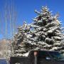 Dave Biddle Photo 11