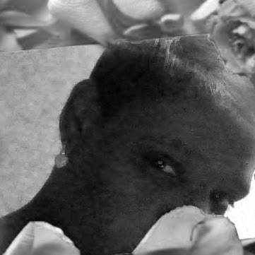 Tracy Shields Photo 11