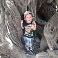 Claudia Collins Photo 10