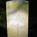 William Hopp Photo 11
