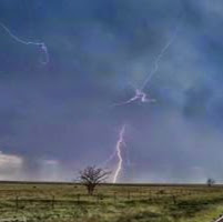 Colleen Webb Photo 22