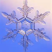 Cynthia Harlan Photo 14