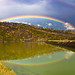 Larry Rowland Photo 21