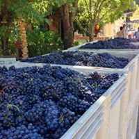 Jennifer Stroud Photo 21