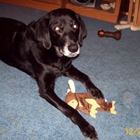 Debbie Locke Photo 15