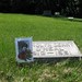 Carolyn Green Photo 26