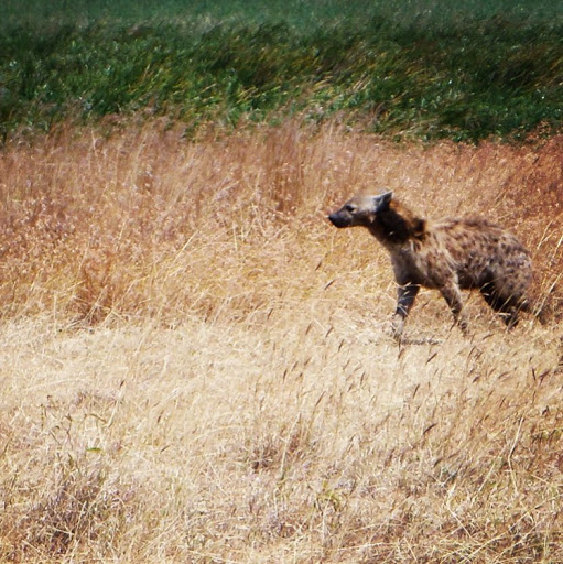 James Reagan Photo 45