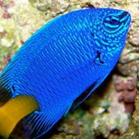 Eugene Akers Photo 9