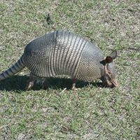 John Kemmerer Photo 9