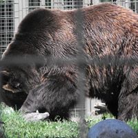 Colin Taylor Photo 39