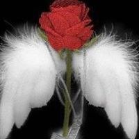 Sally Snyder Photo 28