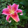 Donna Myers Photo 27