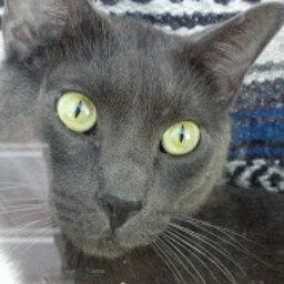 Ricky Fuller Photo 35