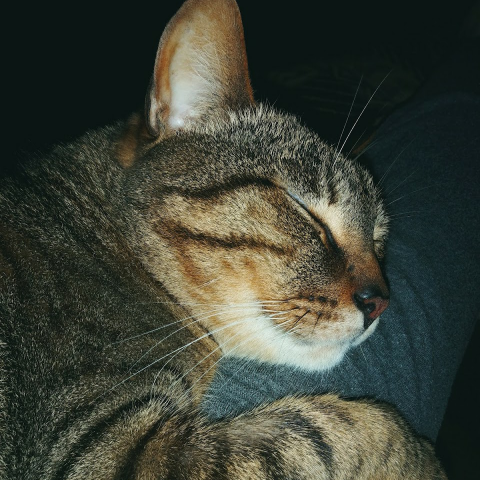 Megan Walters Photo 25