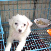 Sasha Santana Photo 16